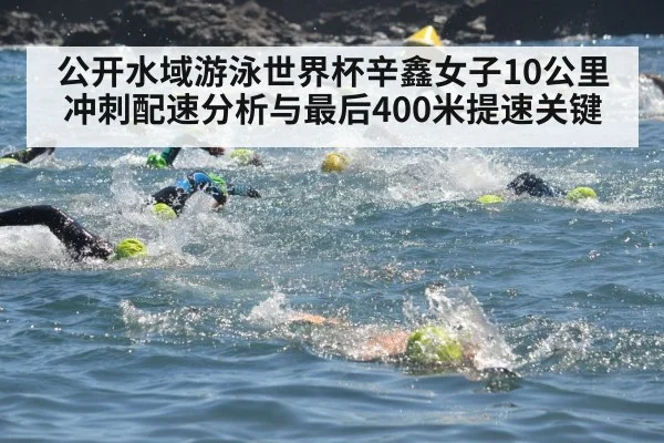 公开水域游泳世界杯辛鑫女子10公里冲刺配速分析与最后400米提速关键